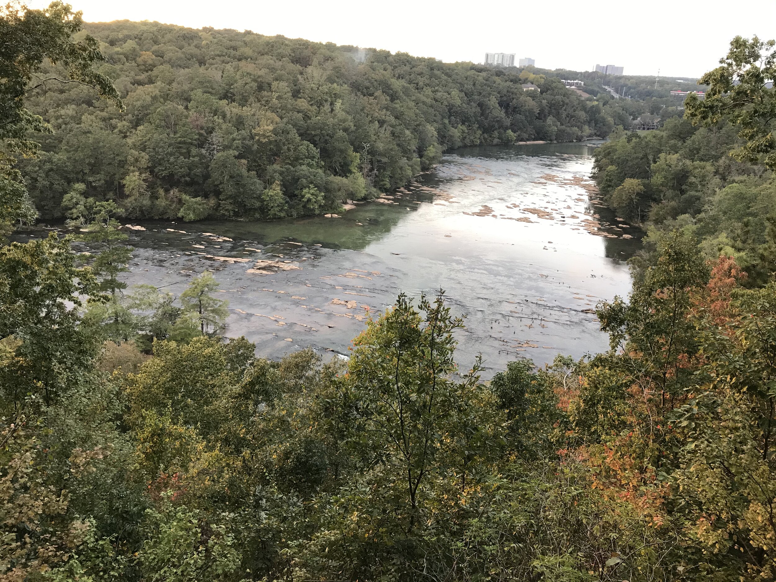 Gallery image 2 — affordable mold removal Atlanta