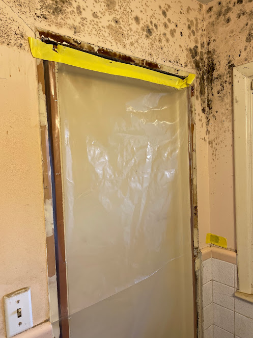 affordable mold removal Atlanta
