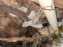 Gallery image 1 — affordable mold removal Atlanta