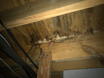 About affordable mold removal Atlanta