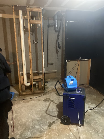 Gallery image 1 — IICRC certified mold removal Atlanta