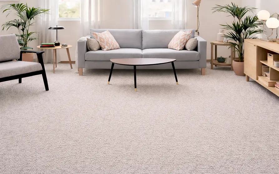 Gallery image 12 — licensed carpet cleaners in Austin