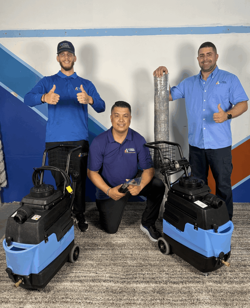 Gallery image 6 — dry carpet cleaning near me