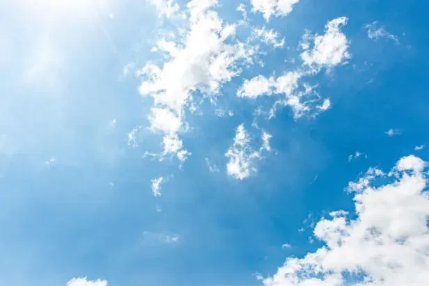 Gallery image 7 — certified mold inspector South Atlanta