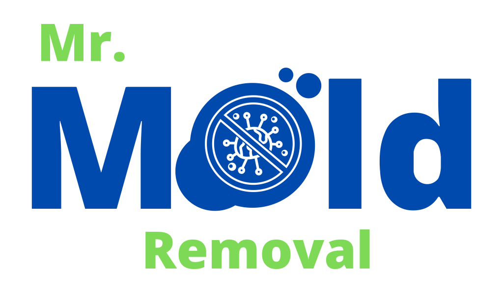 radon testing Atlanta