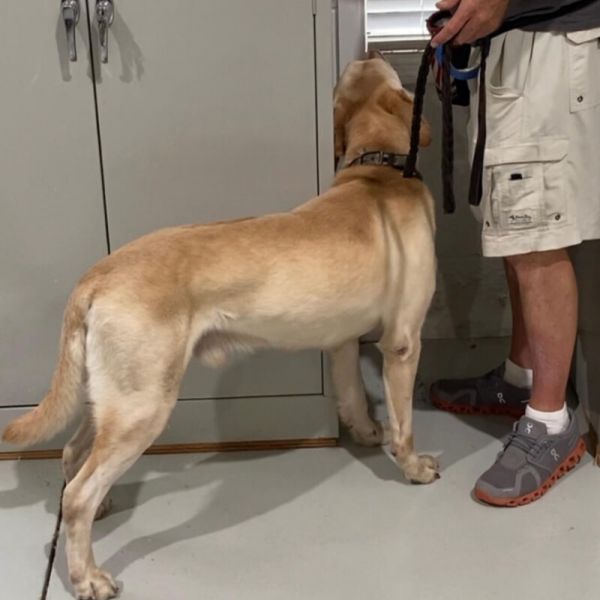 Gallery image 8 — mold remediation near me