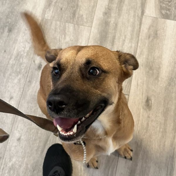 Gallery image 6 — mold remediation near me