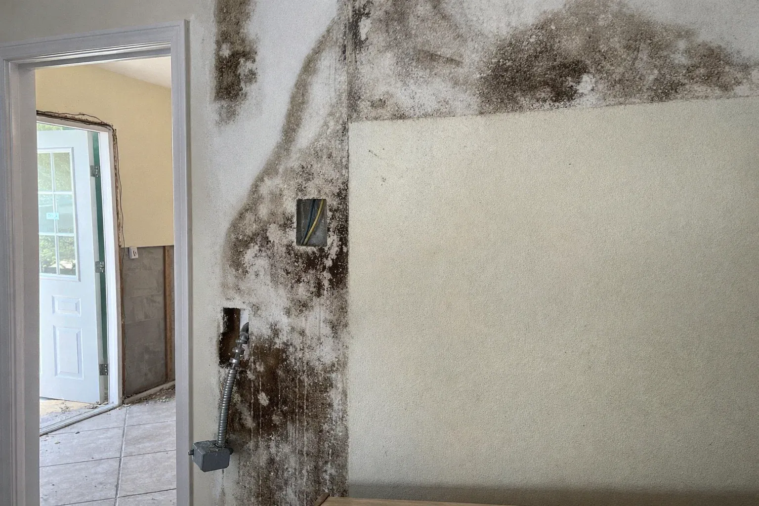 Gallery image 2 — best fire damage restoration Tampa