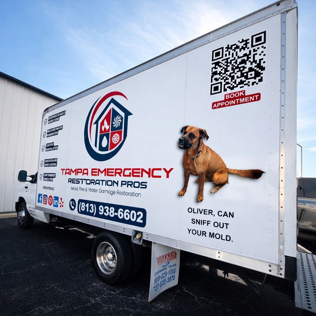 best fire damage restoration Tampa