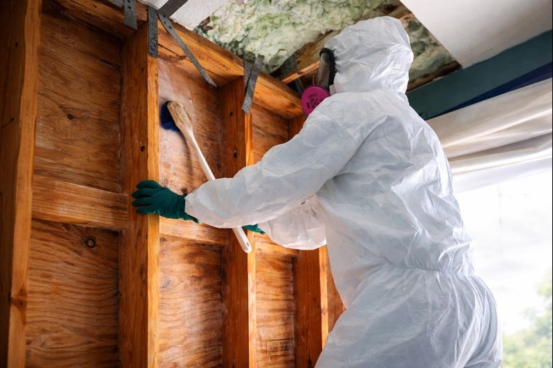 Gallery image 1 — best fire damage restoration Tampa