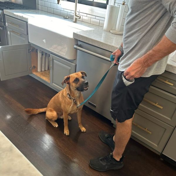 Gallery image 7 — best fire damage restoration Tampa