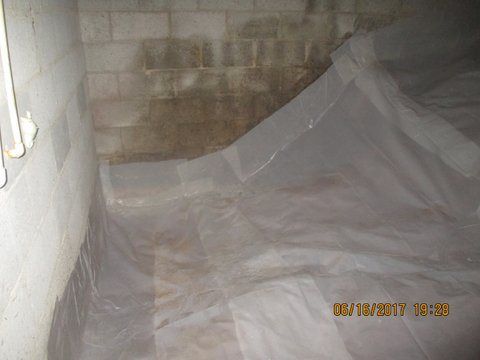 Gallery image 15 — mold consultant Atlanta GA