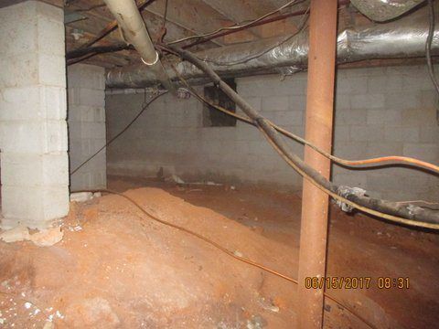 Gallery image 11 — mold consultant Atlanta GA