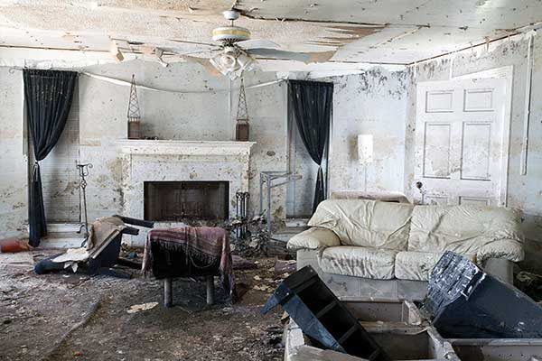 Gallery image 6 — mold consultant Atlanta GA