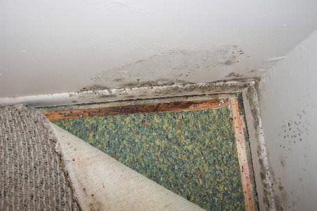 Gallery image 16 — mold consultant Atlanta GA