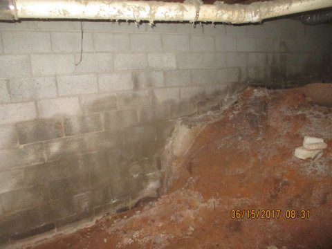 mold consultant Atlanta GA