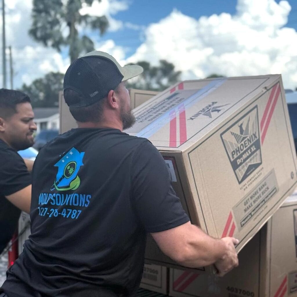 Gallery image 2 — affordable mold removal Tampa Bay