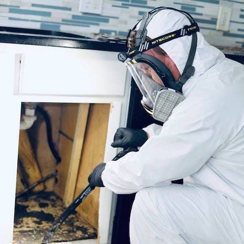Gallery image 5 — affordable mold removal Tampa Bay