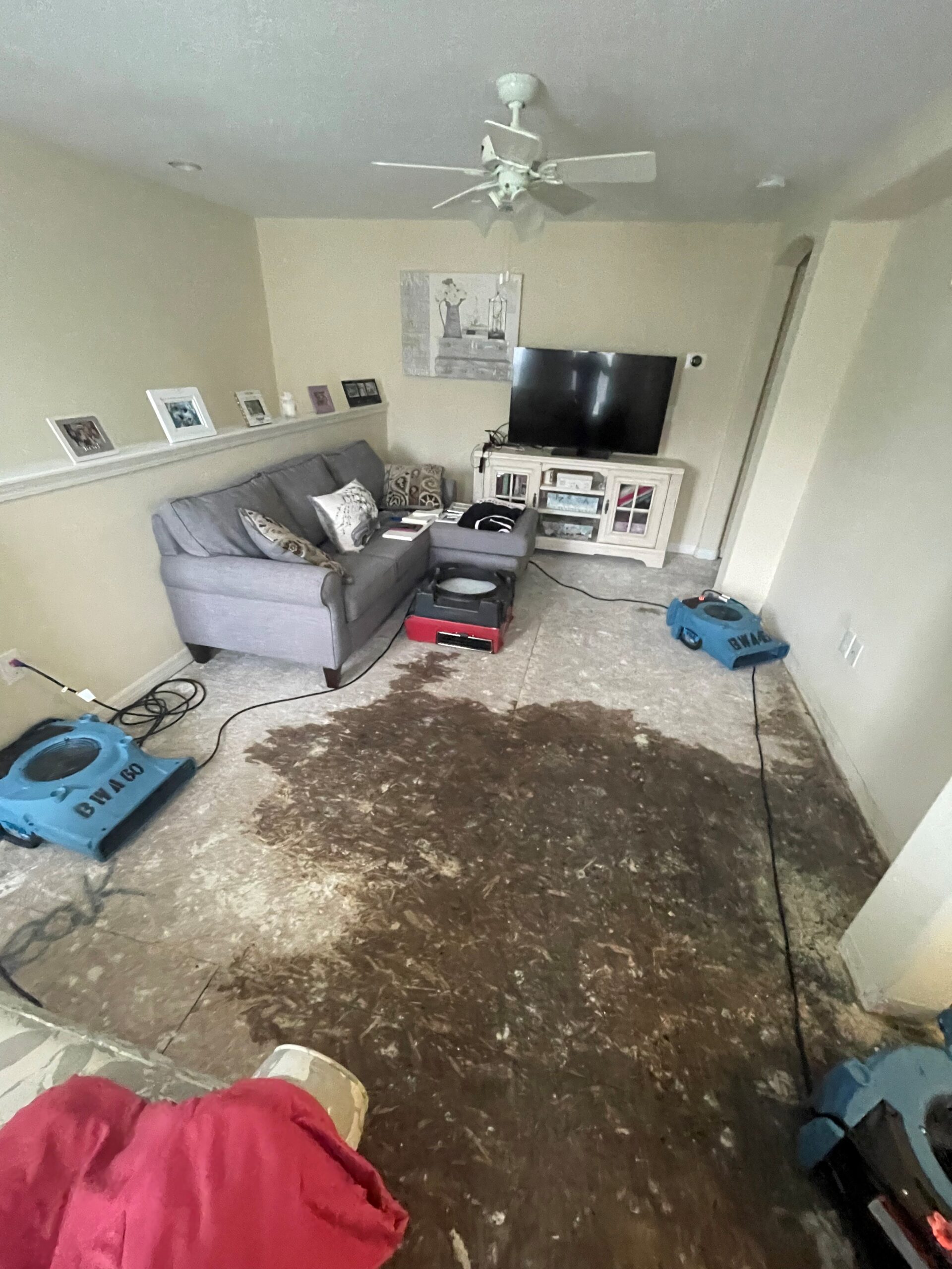 Gallery image 15 — emergency board up services Tampa