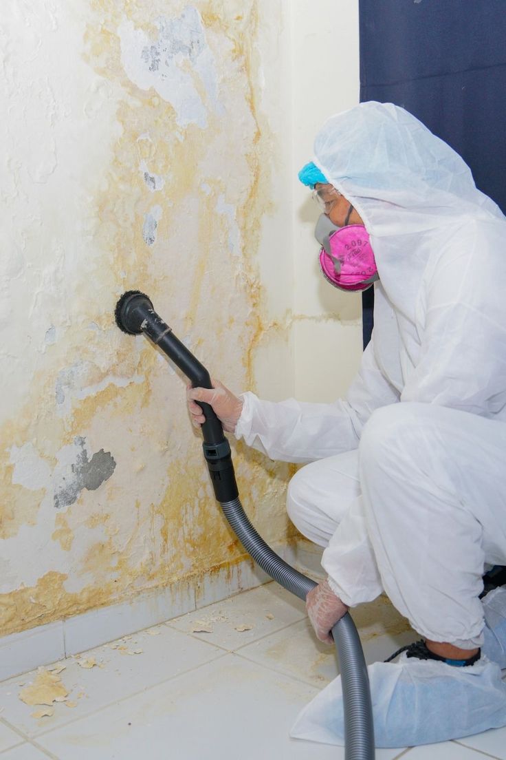 mold prevention Tampa