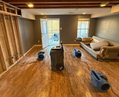 About mold removal Ybor City