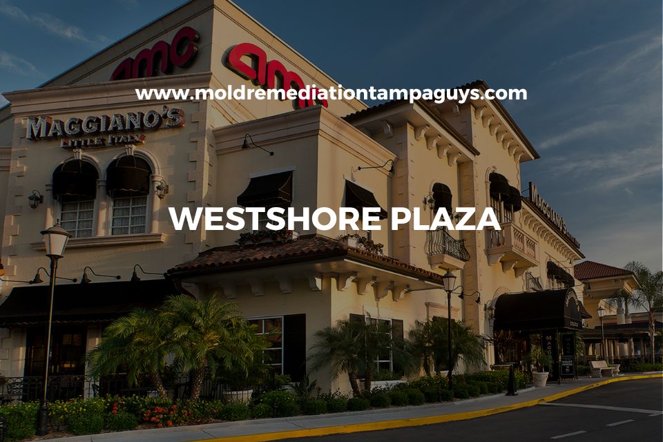 Gallery image 5 — mold prevention Tampa