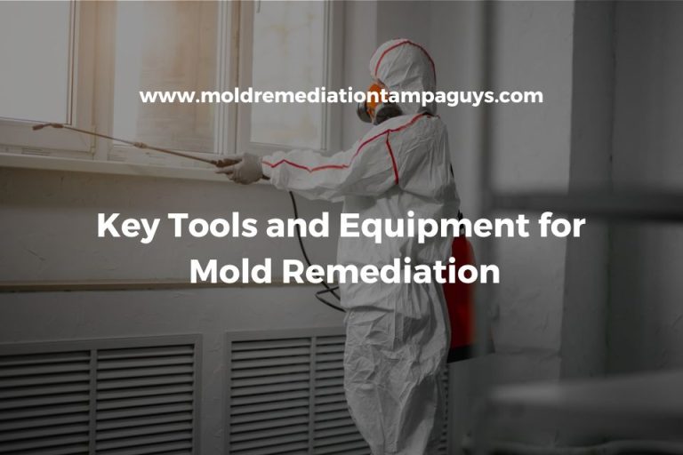 Gallery image 4 — mold prevention Tampa