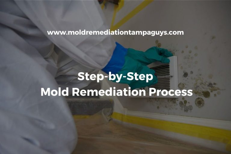 Gallery image 2 — mold prevention Tampa