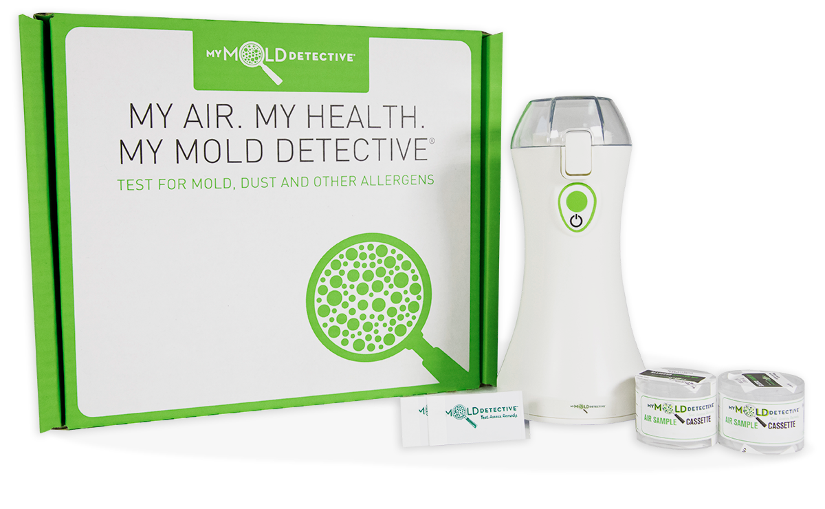 lab analysis mold test My Mold Detective