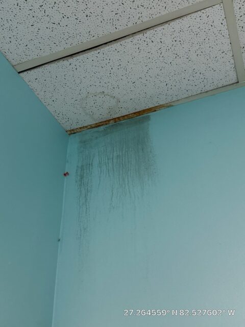 Gallery image 2 — sewage cleanup Tampa