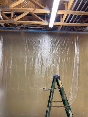 Gallery image 6 — home mold testing near me