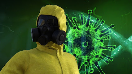 Gallery image 2 — home mold testing near me