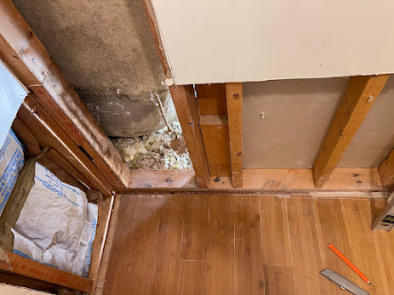 Gallery image 3 — home mold testing near me