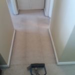 Gallery image 1 — professional rug cleaning Miami