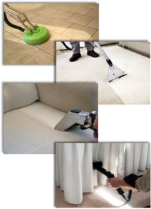Gallery image 5 — professional rug cleaning Miami