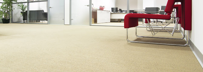 professional rug cleaning Miami