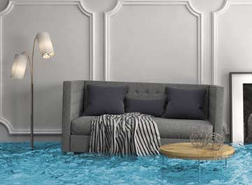 water damage second opinion Tampa