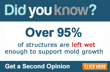 Gallery image 4 — water damage second opinion Tampa