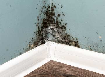 Gallery image 8 — water damage second opinion Tampa