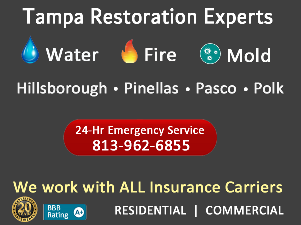 emergency water damage company Tampa
