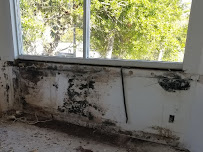 Gallery image 3 — mold specialist in Sarasota County