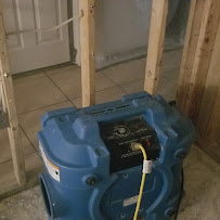 About mold specialist in Sarasota County