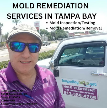 Gallery image 8 — mold specialist in Sarasota County