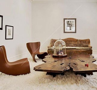 Gallery image 11 — emergency pet stain removal Broward