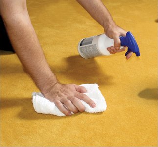 Gallery image 10 — emergency pet stain removal Broward