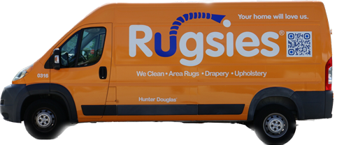 About emergency pet stain removal Broward