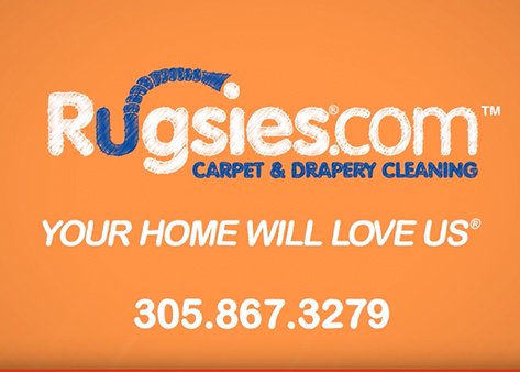 Gallery image 2 — emergency pet stain removal Broward