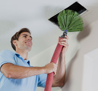 Gallery image 12 — emergency pet stain removal Broward