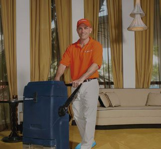 Gallery image 4 — emergency pet stain removal Broward