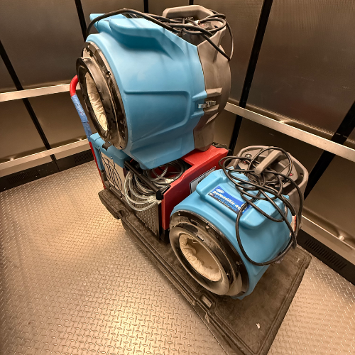 Gallery image 1 — mold removal services Tampa